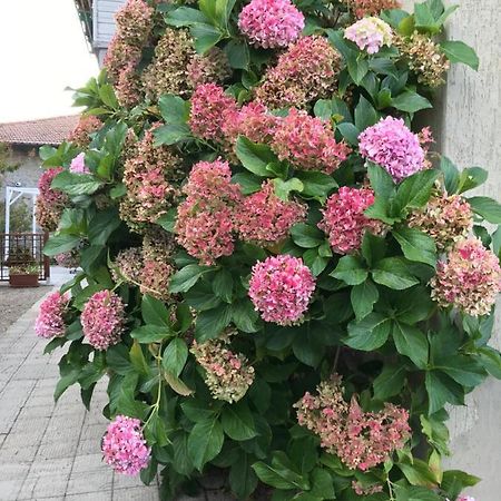 Casa Ortensia Chiusi della Verna Esterno foto