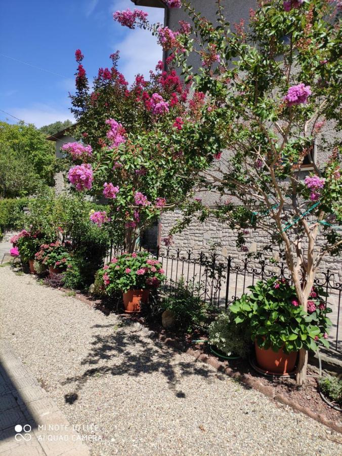 Casa Ortensia Chiusi della Verna Esterno foto